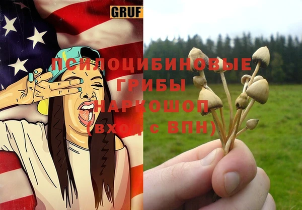 хмурый Алзамай