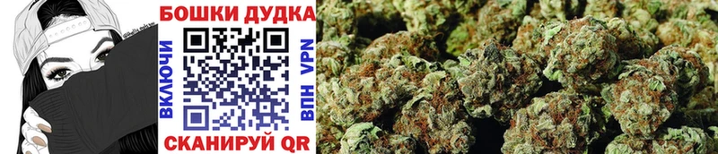 мега рабочий сайт  Ак-Довурак  Бошки Шишки семена  купить закладку 